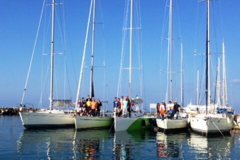 d534c06c79372a97730c8af524aa9b8c