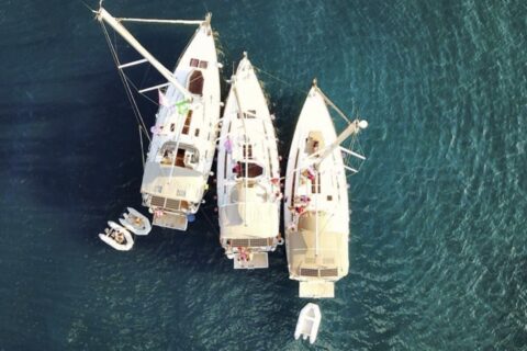 3138c7366a6ecdf59187027501010d24