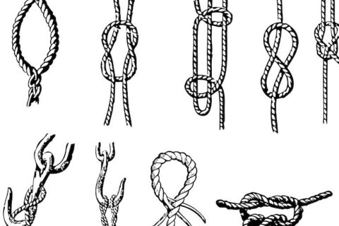 125988415c937d746225836d7c6a64ea